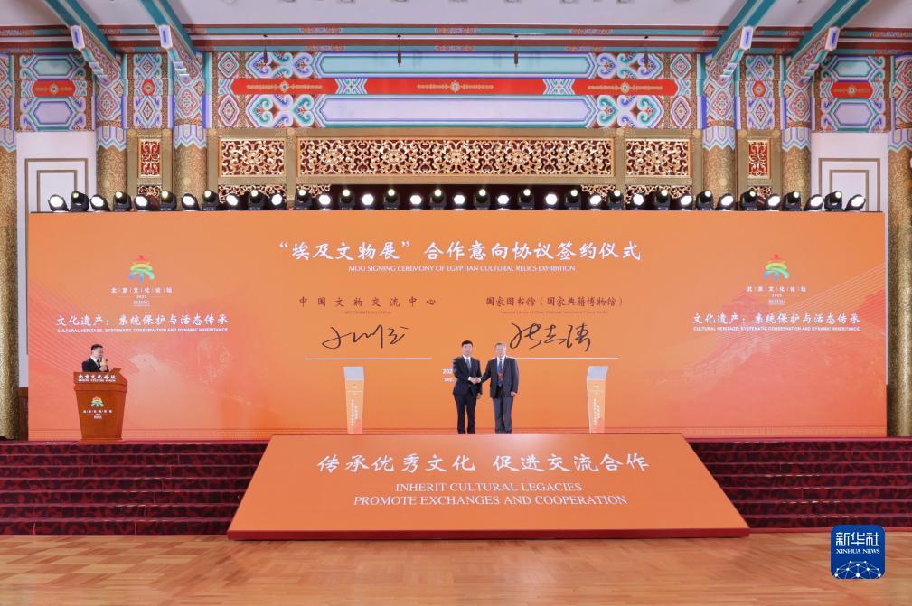 小玛丽vip